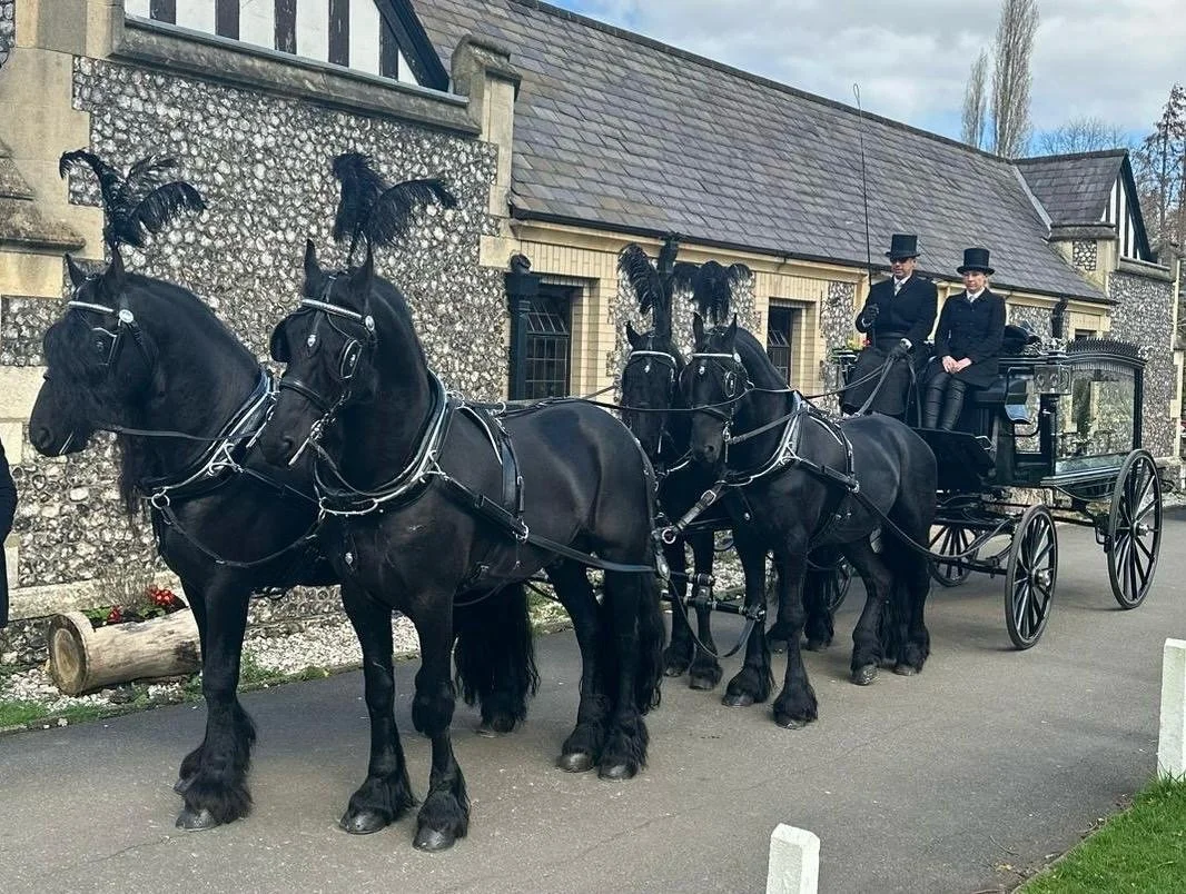 Dignified 4-black horse hearse procession outside Crematorium