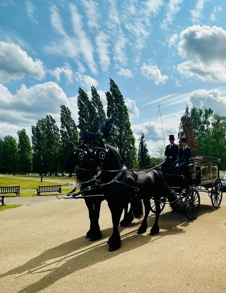 Classic black horse-drawn hearse carriage procession in park