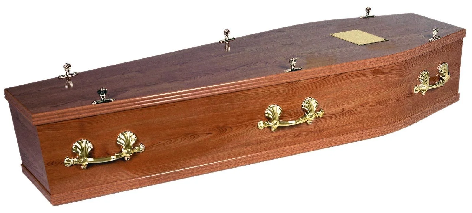 Premium polished mahogany  coffin with gold handles